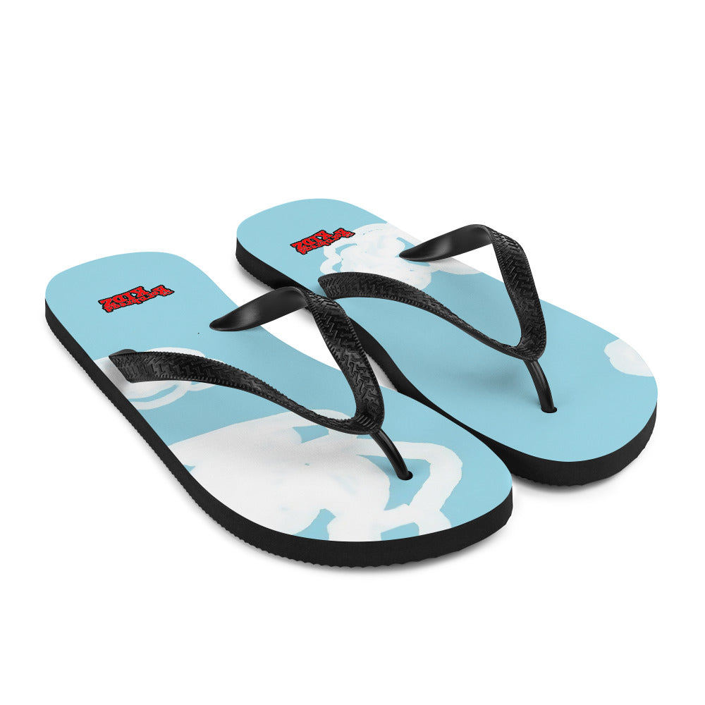 Flip-Flops